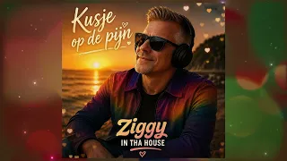 Kusje op de pijn - Ziggy in tha House