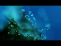 ANNA, East Forest, Max Cooper - Let You In (Max Cooper Remix) (Visualiser)