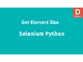 Selenium Python Get Element Size