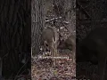 Be careful when using ladderstands