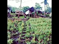 Download Lagu munggumu di sini