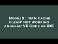 NodeJS npm cache clean not working angular VS Code as IDE