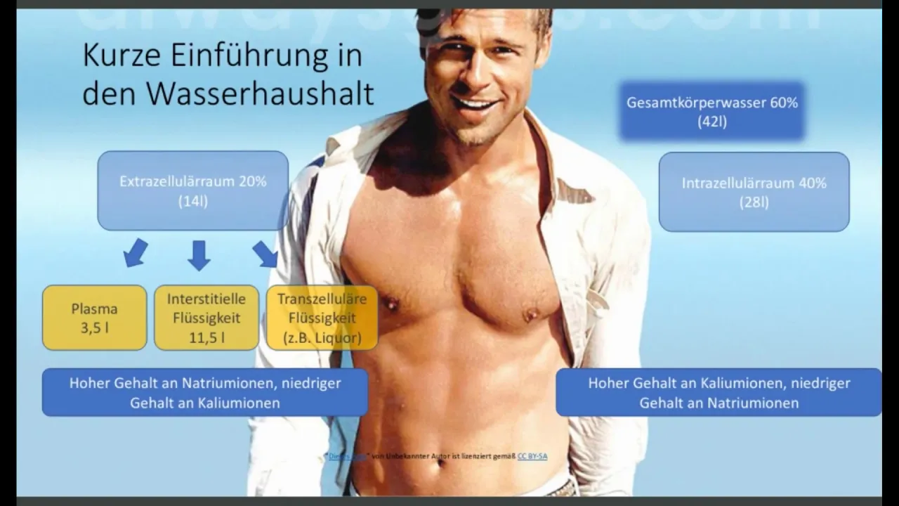 Säure-Basen - Elektrolyte - Wasserhaushalt
