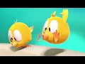 Download Lagu Sink Slide | Where's Chicky? | Cartoon Collection in English for Kids | New episodes