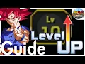 A Guide to Link Level Grinding UPDATED DBZ Dokkan Battle