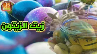 مراحل عصر الزيتون و إنتاج زيت الزيتون في المغرب Olive Oil Production In Morocco 