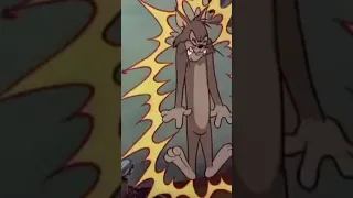توم وجيري باليمني مضحك  توم وجيري باليمني مضحك