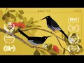 Download Lagu Birdsong (CalArts Film 2022)