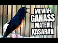 Lagu MURAI BATU GACOR FULL ISIAN TEMBAKAN MEWAH KRETEKAN GANAS AMPUH MELATIH MURAI BATU BONGKAR ISIAN