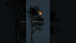 TEMPORARY PYAR Kaka Lyrics Aesthetic Lyricsaesthetic Harshu Lyrics777 Trending 