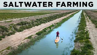 2 BILLION Acres of NEW Farmland