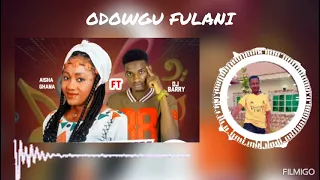 ODOGWU FULANI AISHA GHANA FT DJ BARRY 