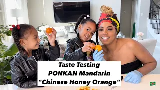 Download Taste Testing PONKAN Mandarin “Chinese Honey Orange” Backyard fruits and garden. Zone 9a.Texas 🇩🇲 MP3