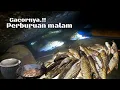 Download Lagu PANEN.!! SPOT LAMA YANG DI HUNI BANYAK IKAN JURUNG KAMI SELAMATKAN MALAM INI MP3