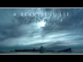 Download Lagu Beautiful Lie Breakbeat 2021