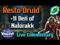 Resto Druid 11 Den of Nalorakk Healing Out Loud Commentary