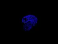 Particle Engine in C