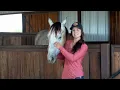 Meet Hailey Kinsel s Horses