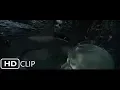 Harry vs The Basilisk Harry Potter and the Chamber of Secrets