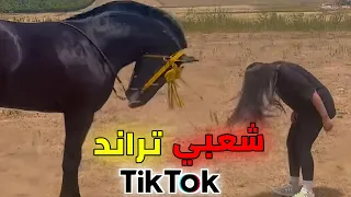 شعبي تراند  تيك توك  أنا فطنجة وهيا تسكن فالجديدة                                     دندنها