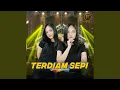 Lagu Terdiam Sepi