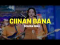 Download Lagu CIINAN BANA - Difarina Indra Adella (Lirik)