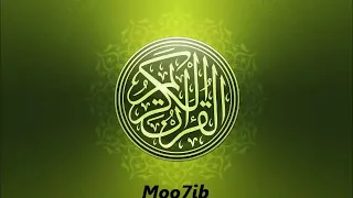 القارئ عامر الكاظمي سورة يس 