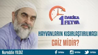 Hayvanların kısırlaştırılması caiz midir?