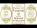 Download Lagu Surah 041 Fussilat | Reciter: Saud Al-Shuraim | Text highlighting HD video on Holy Quran Recitation