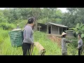 Download Lagu Mrs. Đầm was chased away by the militia mother and not allowed to stay.