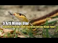 5 Arti Mimpi Ular, Benarkah Pertanda Jodoh atau Hanya Sekadar Bunga Tidur?