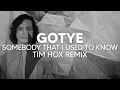Download Lagu Gotye - Somebody That I Used To Know (Tim Hox Remix) [TECH HOUSE]