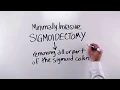 Advanced Surgical Procedure for Colon