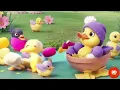 The Quacky Duck Family Picnic | Duck Picnic | @3dstories123