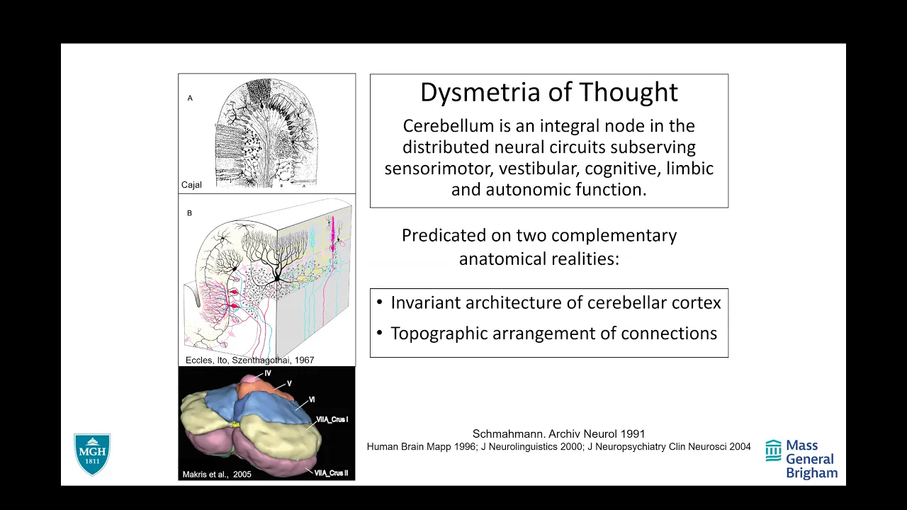 BrainMap: The ...neuroanatomy, and systems neuroscience in ...cerebellum; an homage to brain imaging