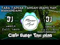 Download Lagu DJ Minang Kaba Tapuak Tangan || DJ Cinto Bungo Tapi jalan (Fauzana Ft. David Iztambul) Remix terbaru