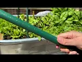 8 Garden Stakes - too much or just right