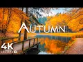 Enchanting Autumn Forests with Beautiful Piano Music🍁4K Autumn Ambience \u0026 Fall Foliage #20