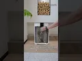 Download Lagu 🐾✨ Say goodbye to pet hair and odors! This purifier is a game changer for pet owners!