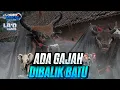 Download Lagu JINGLE BANTENGAN \