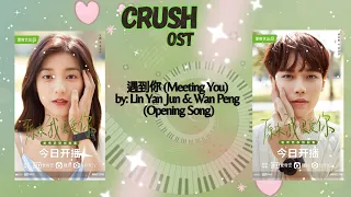 Download 遇到你 Meeting You by  Lin Yan Jun  \u0026 Wan Peng - Crush OST Opening Song MP3