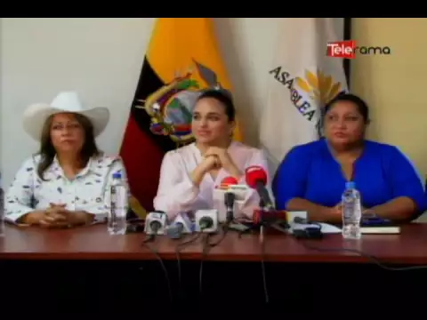 Rivadeneira: Si hay un costo político lo asumiremos