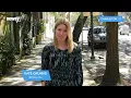 Dirty Tricks In South Carolina's Primary Don't Surprise Anyone - Newsy