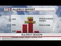 High pollen count leads to more allergy reports in Upstate