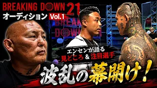 Breaking Down21 vol 1