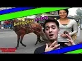Download Lagu Sinema FTV Terromantis 💕 Pacar Ketinggalan Andong 💕 Ricky Harun~Yukino Almira