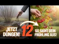 Download Lagu Düngen im Oktober – der Fehler, den fast alle machen!