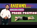 Prone Position Anatomical Positions Explained Practically Learn Conceptually