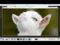 Using OpenStack Shade SDK with Swift Storage