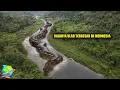 Ngeri! Inilah 4 Siluman Ular Terbesar di Dunia Yang Pernah Dilihat Manusia. Nomer 3 Ada di Indonesia